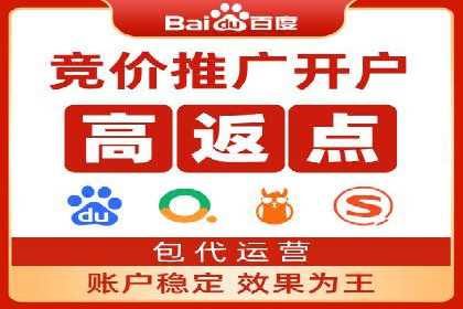谷歌SEM案例研究：数据分析与效果评估