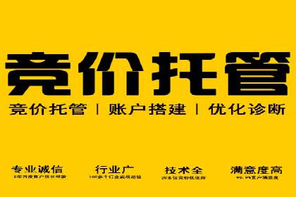 案例分享：SEM推广优化实战技巧